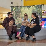 sara cicolani con joy, happy, frida, federica rinaudo e auro cardillo